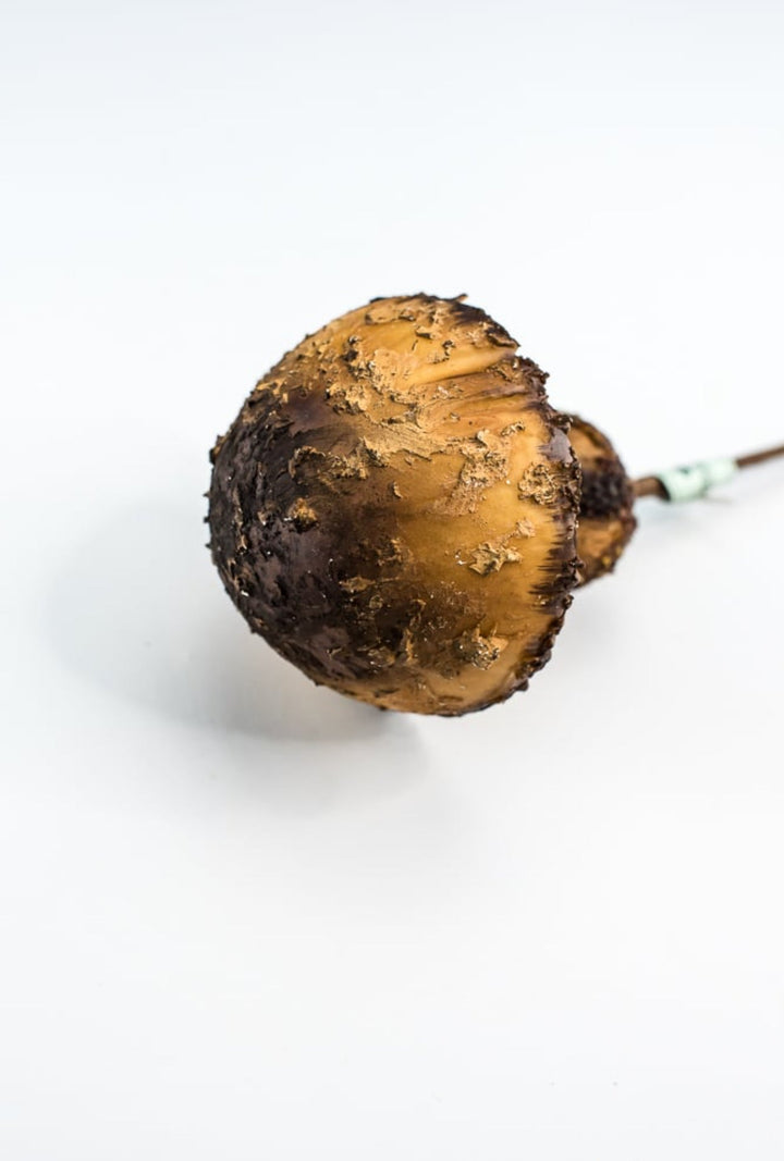 Woodland mushroom pick - 12” large - Greenery MarketMTX72905