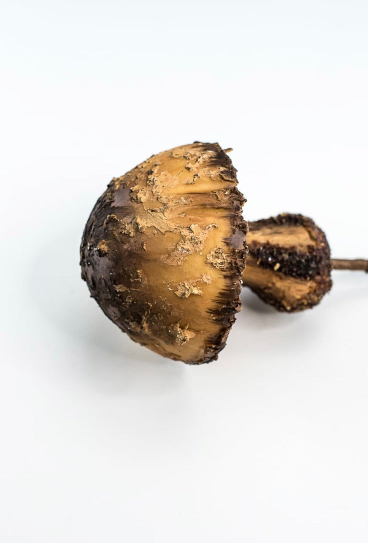Woodland mushroom pick - 12” large - Greenery MarketMTX72905