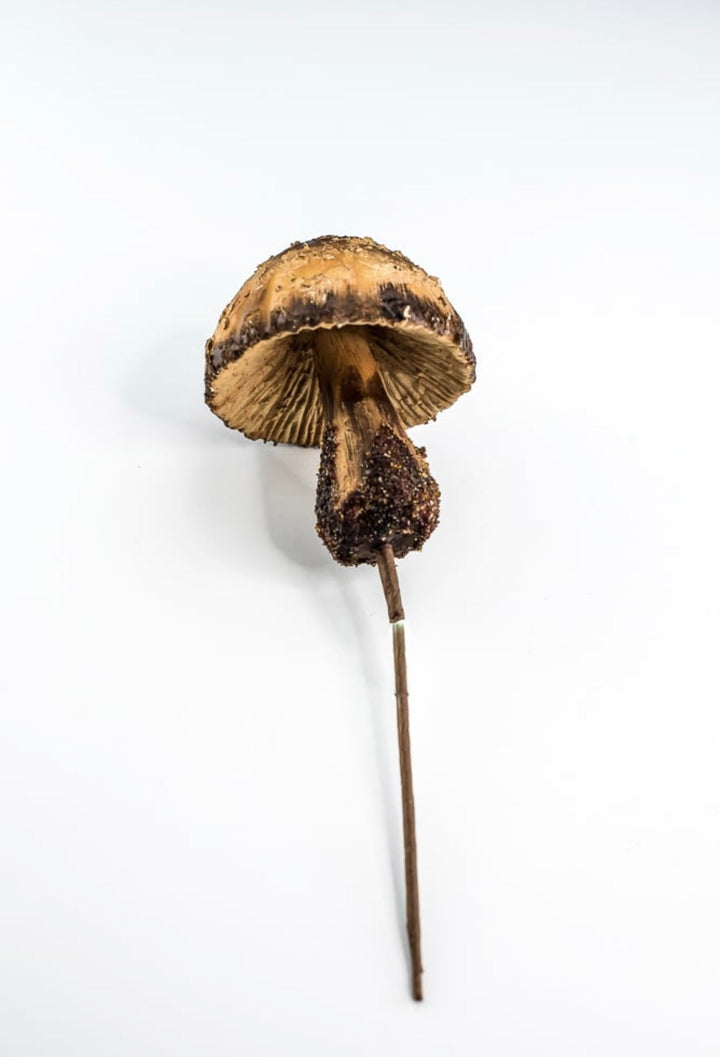 Woodland mushroom pick - 12” large - Greenery MarketMTX72905