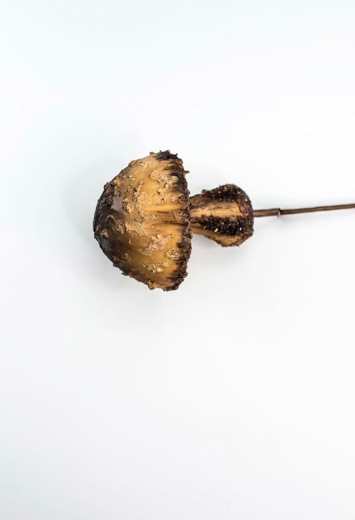 Woodland mushroom pick - 12” large - Greenery MarketMTX72905