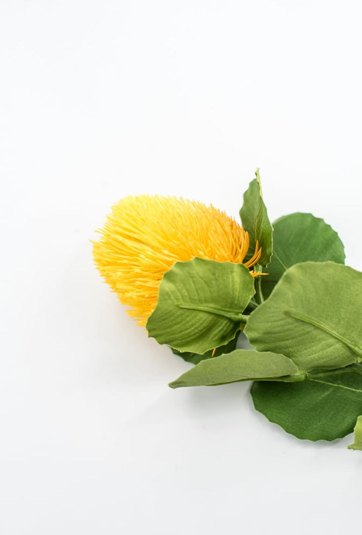 Yellow Banksia Stem - Greenery Market63674YW