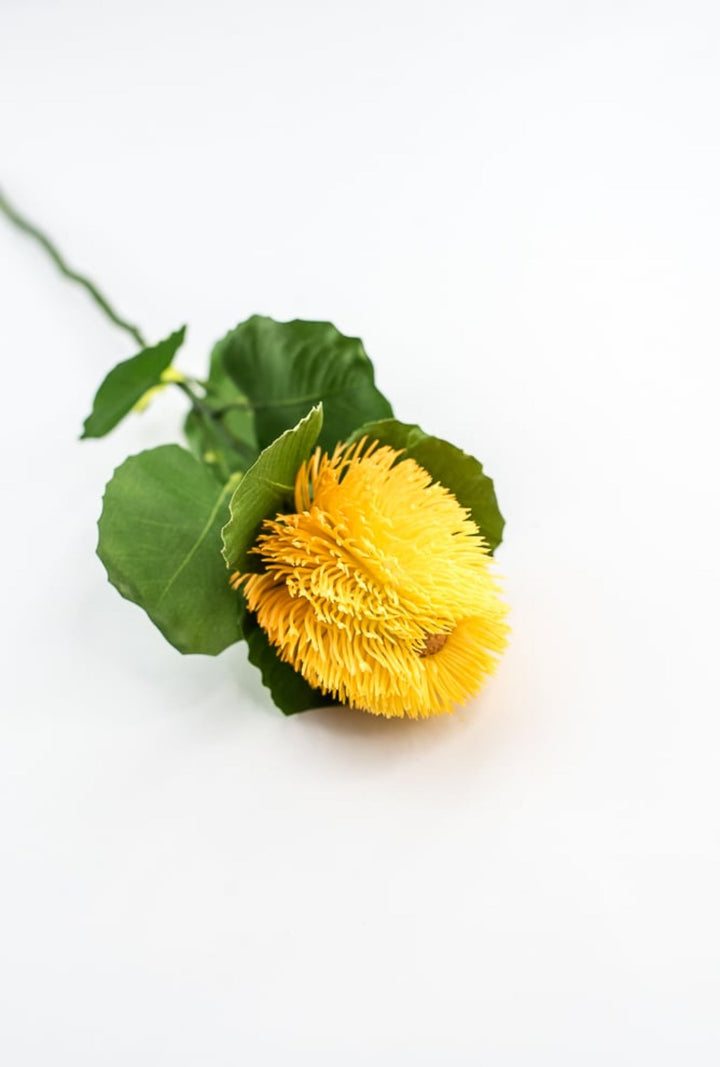 Yellow Banksia Stem - Greenery Market63674YW