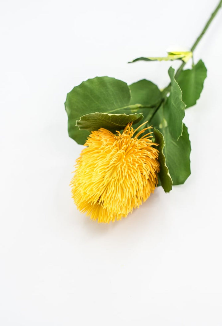 Yellow Banksia Stem - Greenery Market63674YW