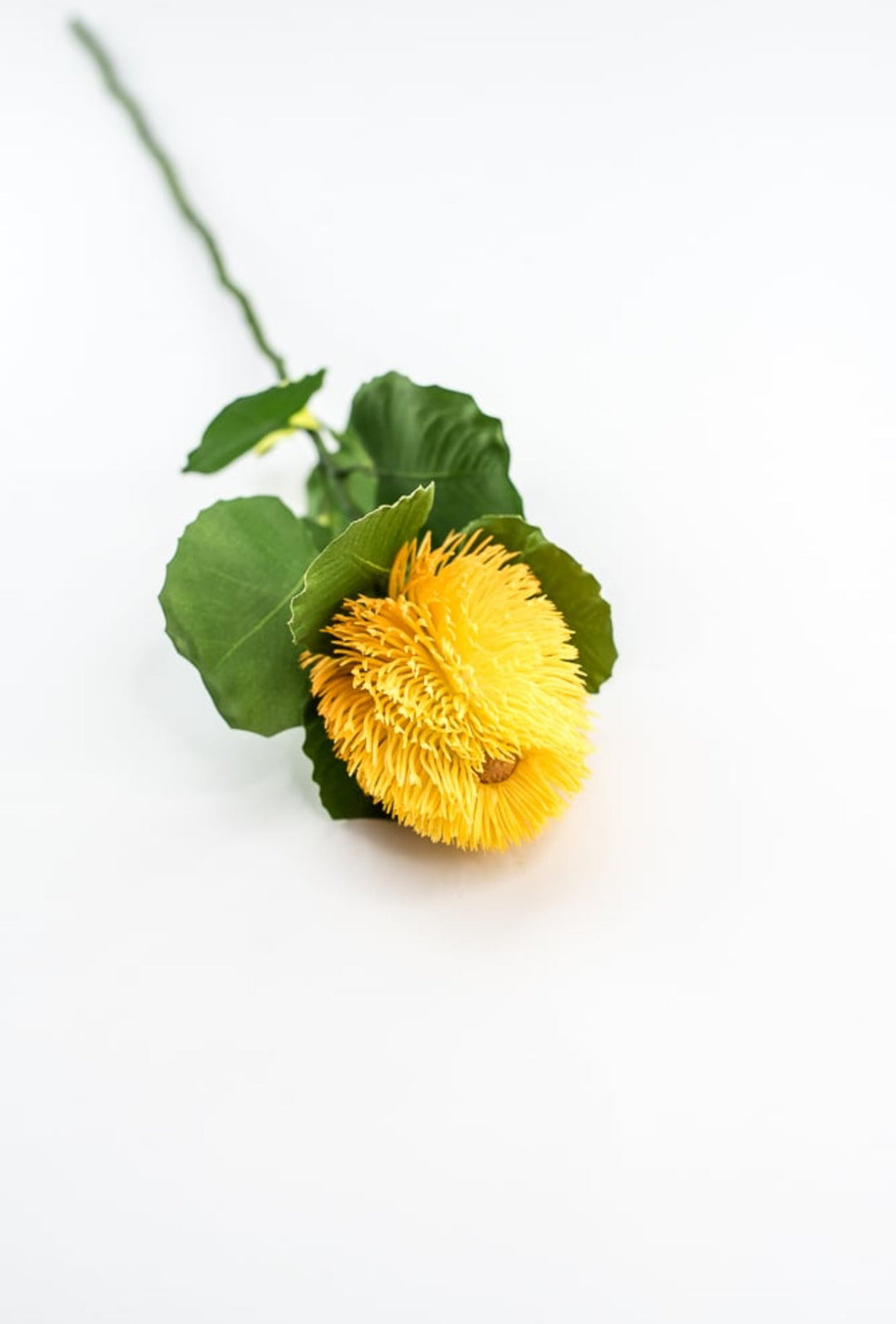 Yellow Banksia Stem - Greenery Market63674YW