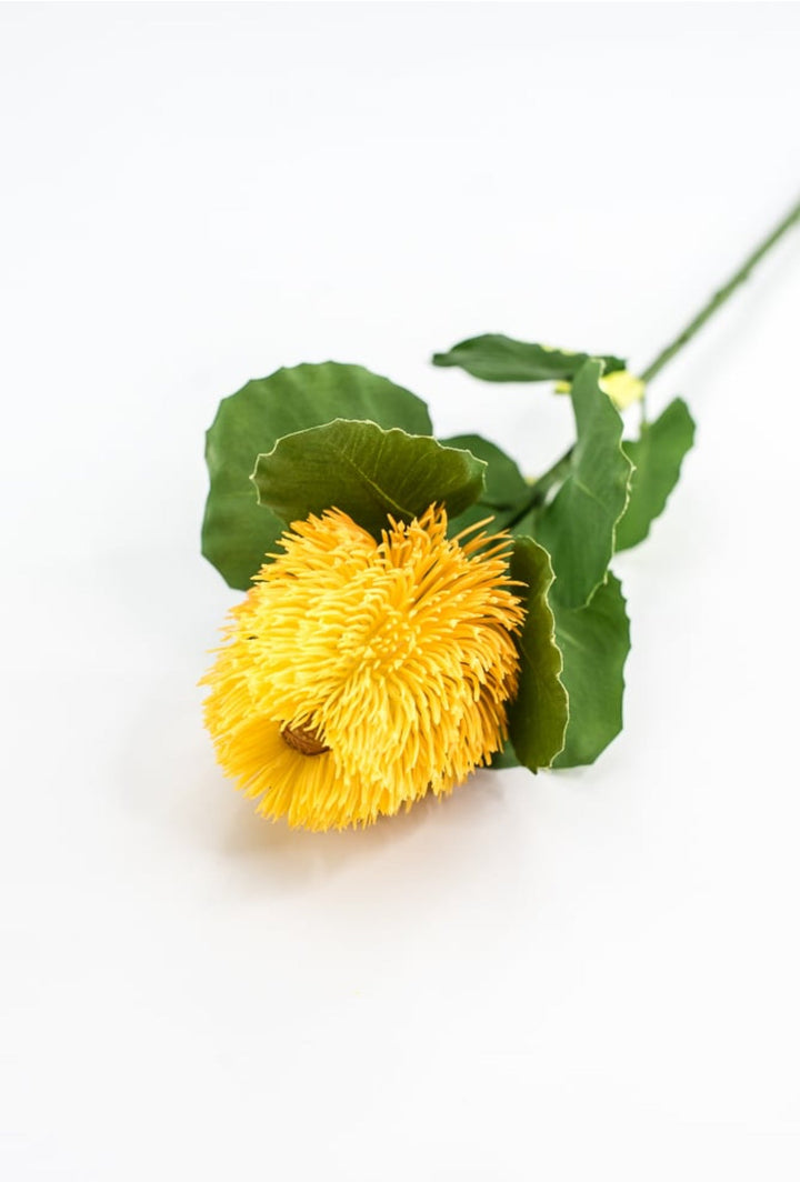 Yellow Banksia Stem - Greenery Market63674YW