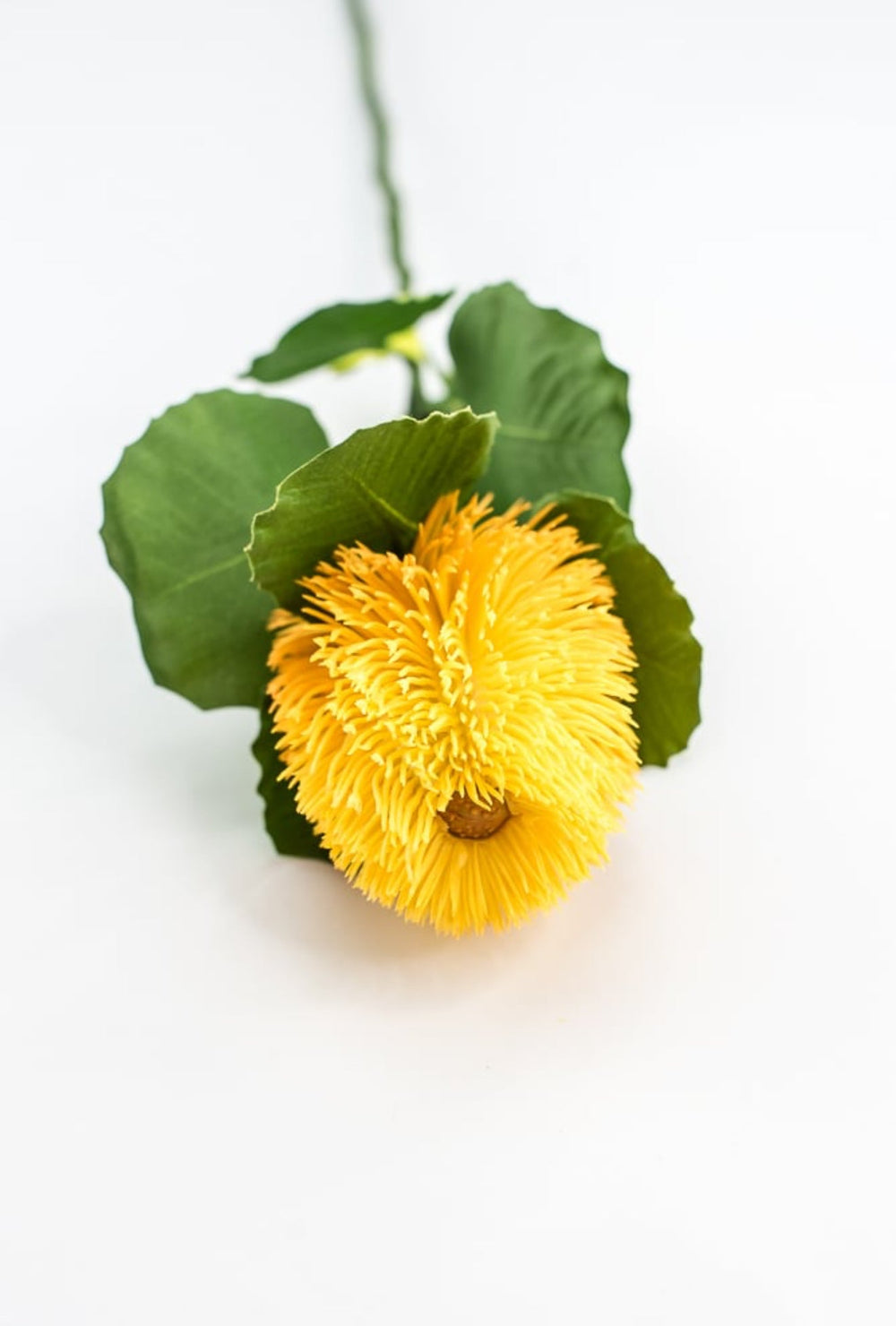 Yellow Banksia Stem - Greenery Market63674YW