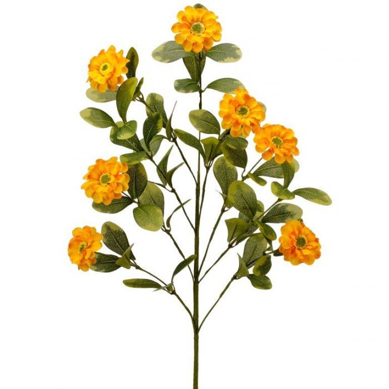 Yellow Button Zinnia Spray - Greenery MarketMTF24321 YELL