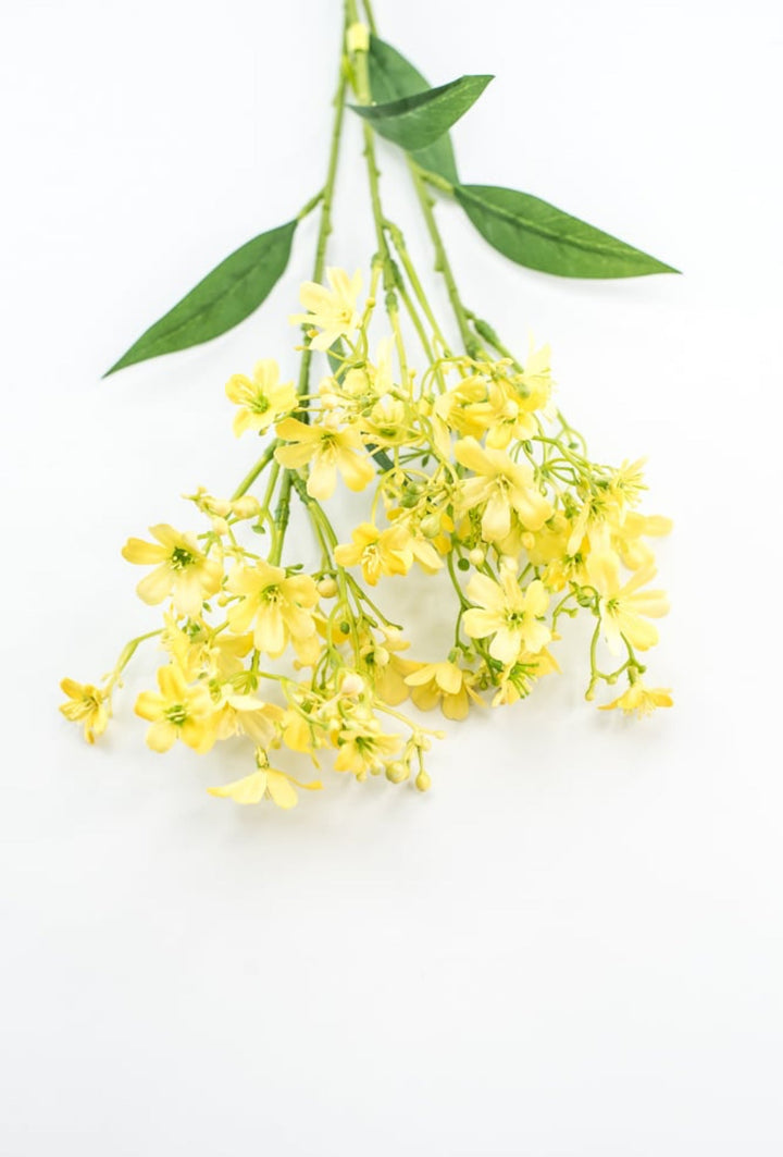Yellow Daphne Spray - Greenery Market29477YW