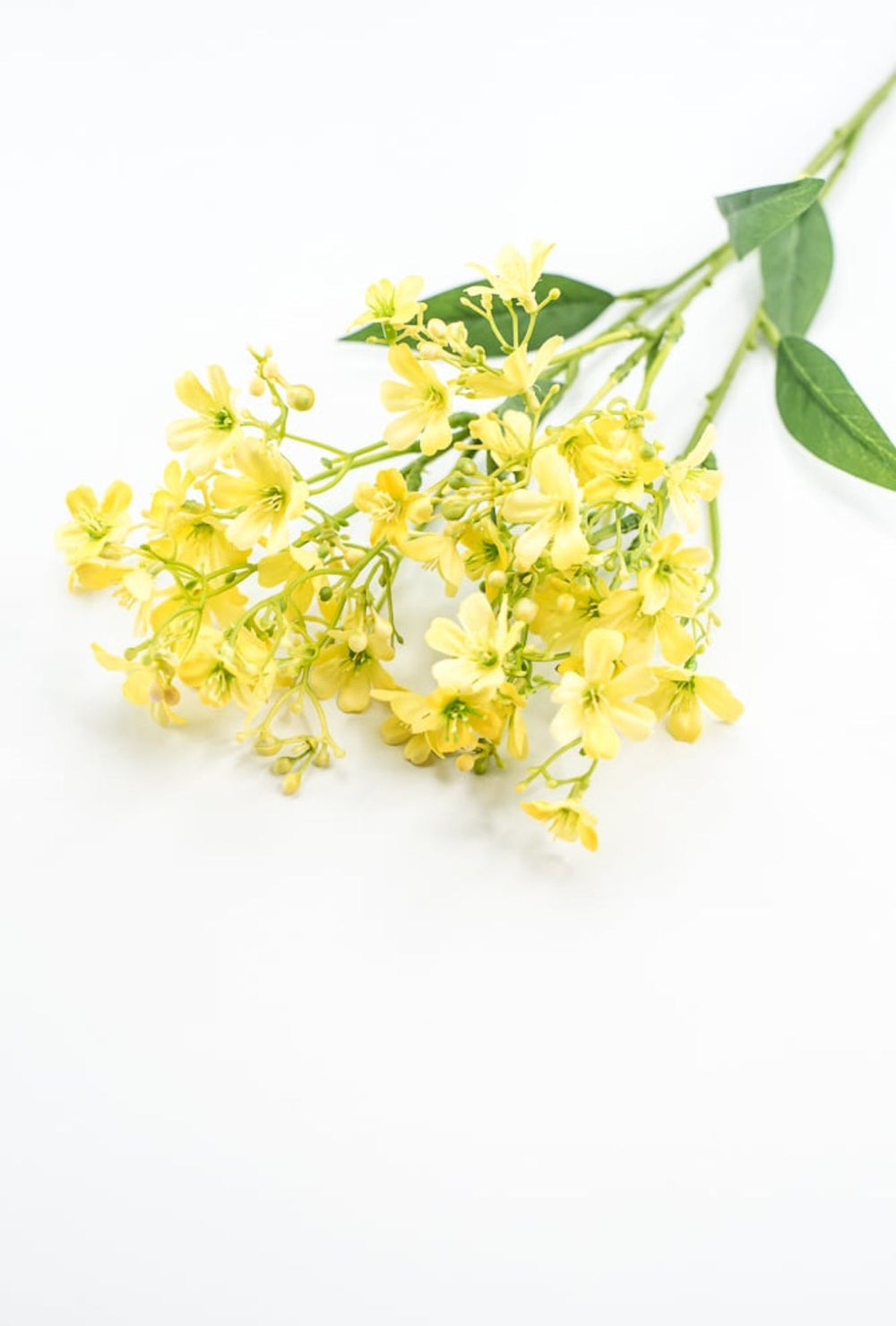 Yellow Daphne Spray - Greenery Market29477YW