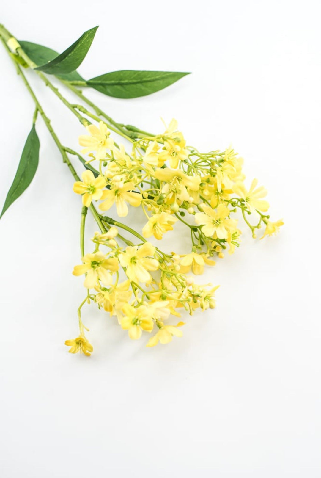 Yellow Daphne Spray - Greenery Market29477YW