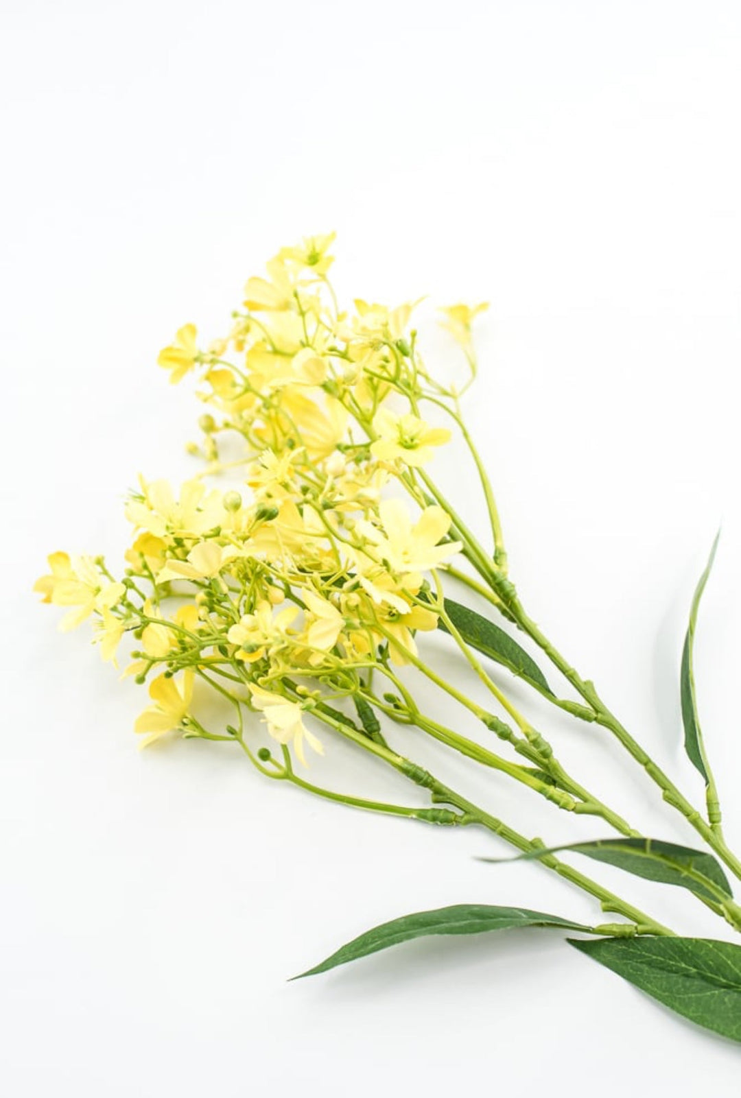 Yellow Daphne Spray - Greenery Market29477YW