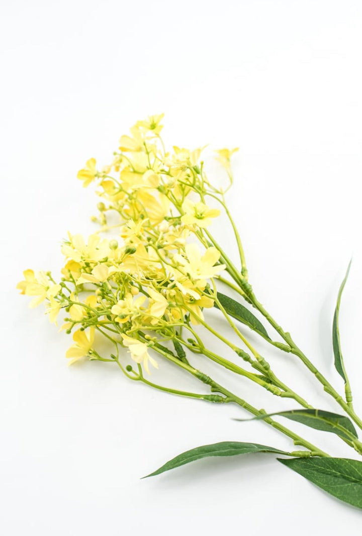 Yellow Daphne Spray - Greenery Market29477YW