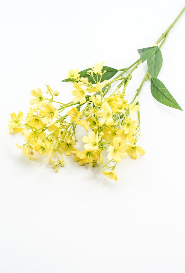 Yellow Daphne Spray - Greenery Market29477YW