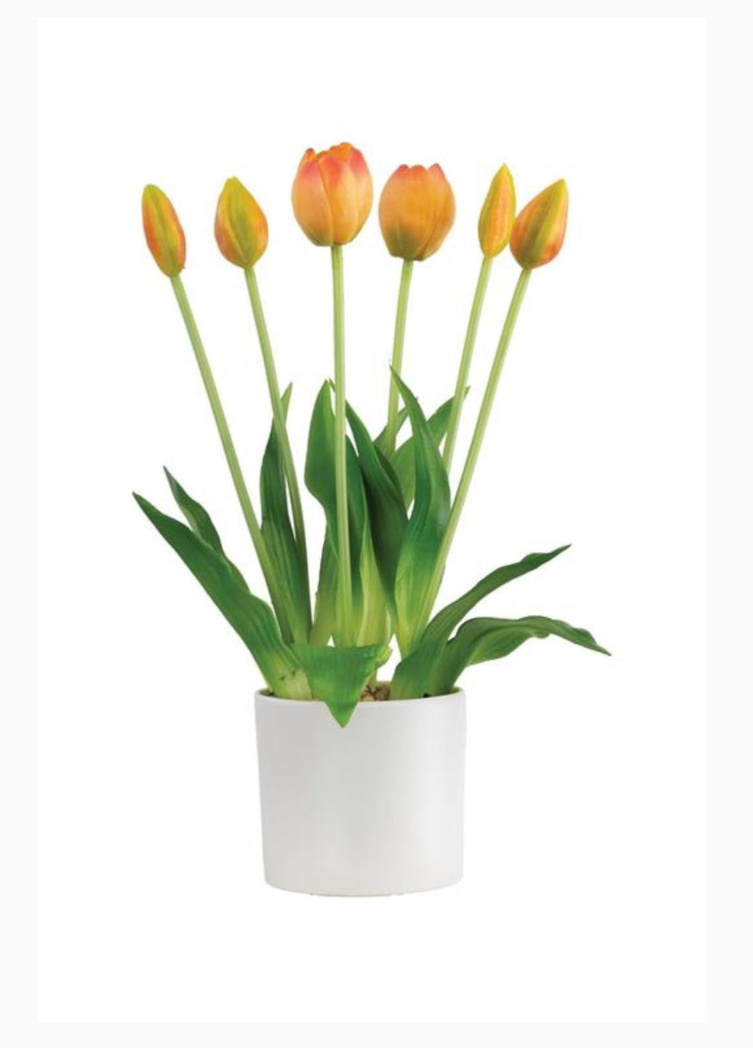 Yellow, life like tulips in a container - Greenery Market6544 - Y