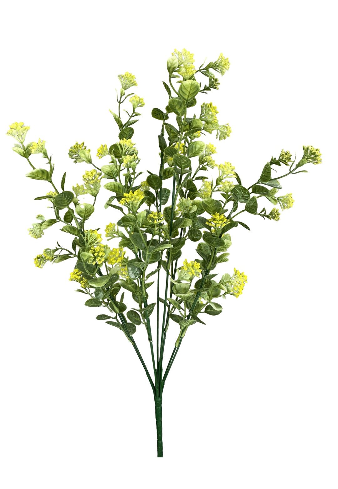 Yellow, Sedium Filler Bush - Greenery Market13635YW