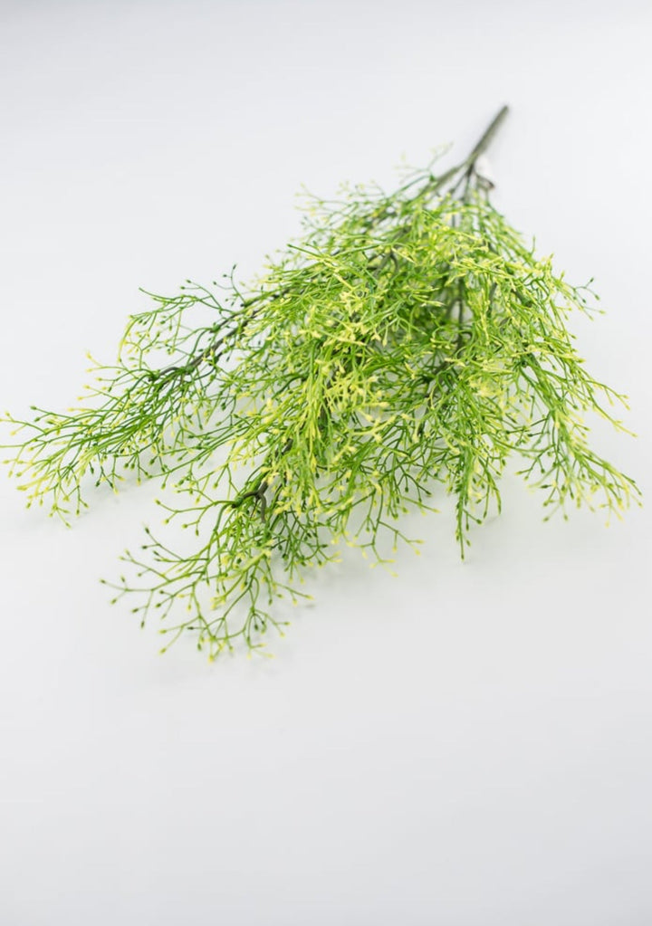 Yellow tipped, fine wild grass bush - Greenery Market26928