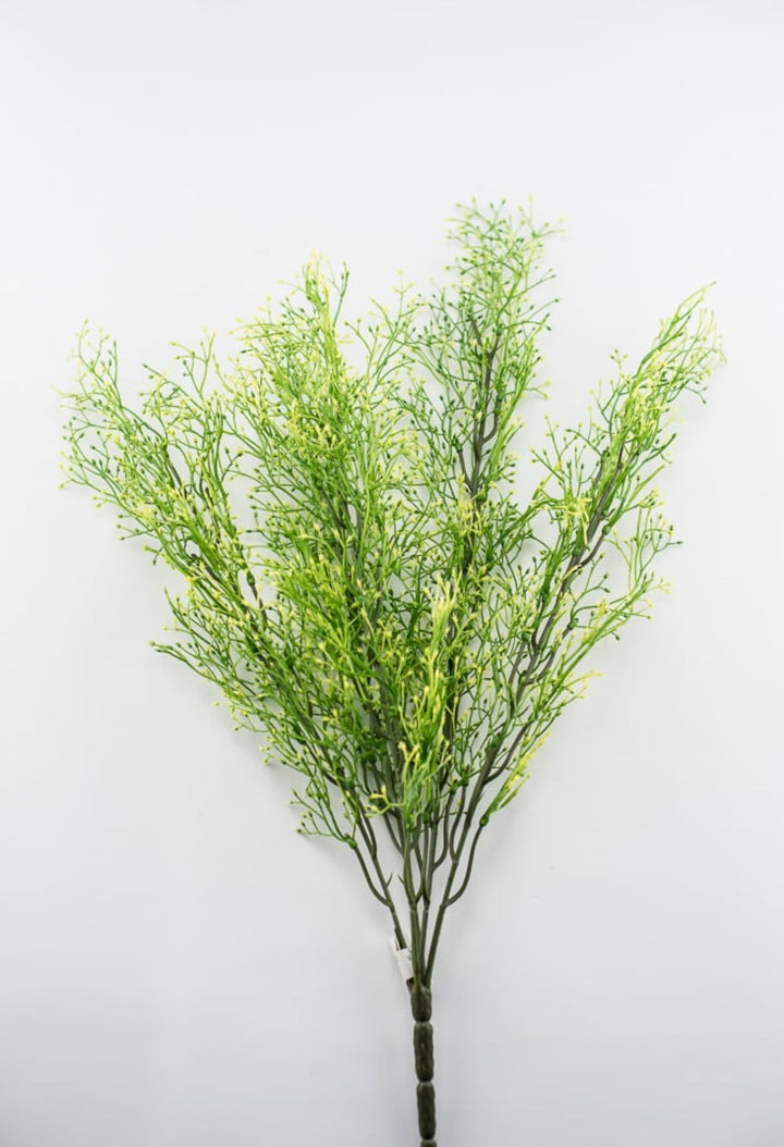 Yellow tipped, fine wild grass bush - Greenery Market26928