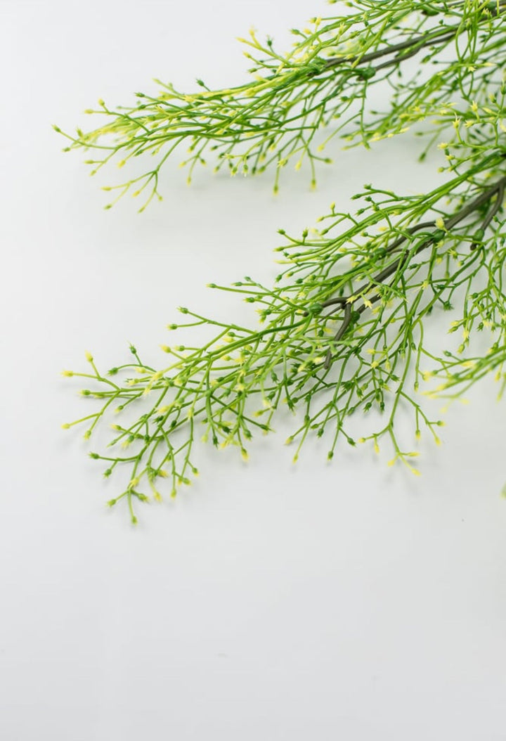 Yellow tipped, fine wild grass bush - Greenery Market26928