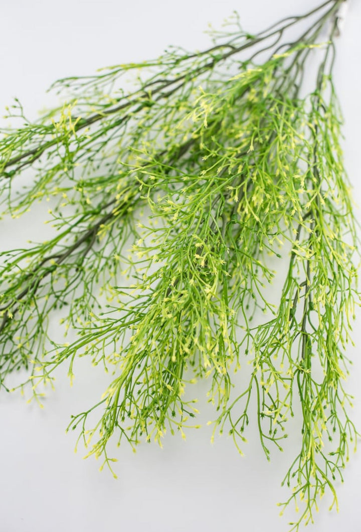 Yellow tipped, fine wild grass bush - Greenery Market26928