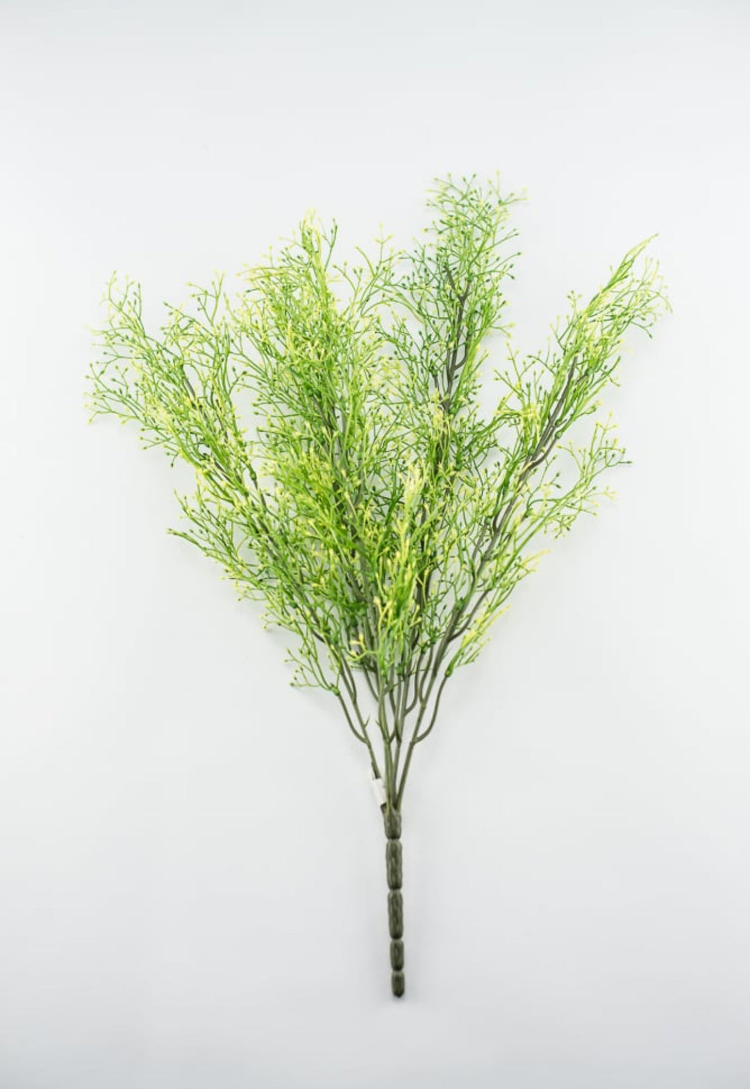 Yellow tipped, fine wild grass bush - Greenery Market26928