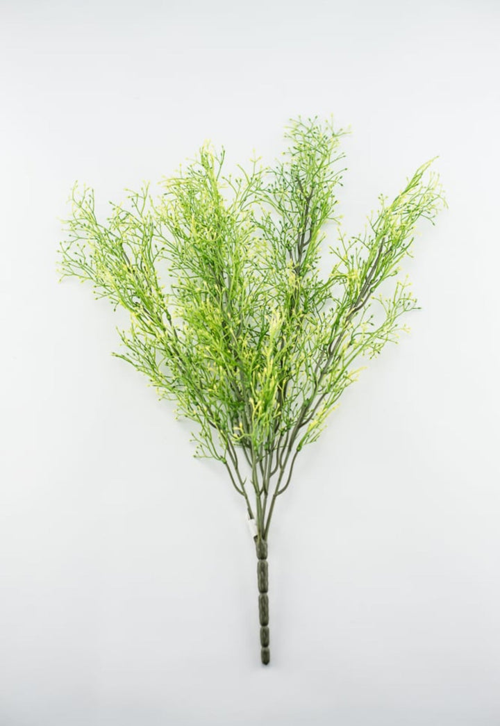Yellow tipped, fine wild grass bush - Greenery Market26928