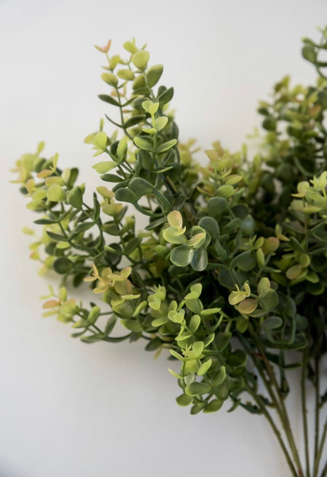 Artificial, Eucalyptus Greenery bush - brown green - Greenery Marketgreenery80258-BRN.GN