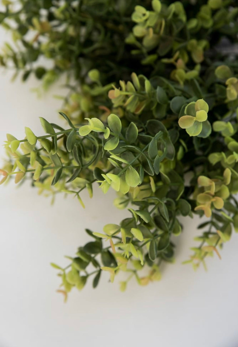 Artificial, Eucalyptus Greenery bush - brown green - Greenery Marketgreenery80258-BRN.GN