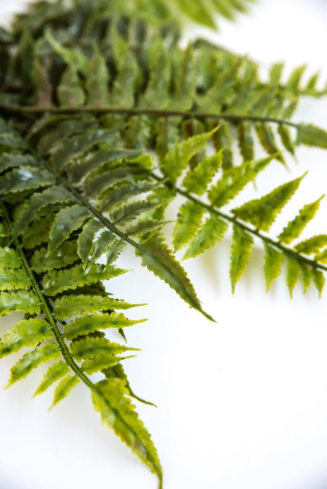 Artificial fern bush, greenery bush - Greenery Marketgreenery25769