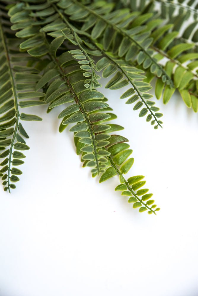 Artificial fern bush, soft touch greenery bush - Greenery Marketgreenery25791