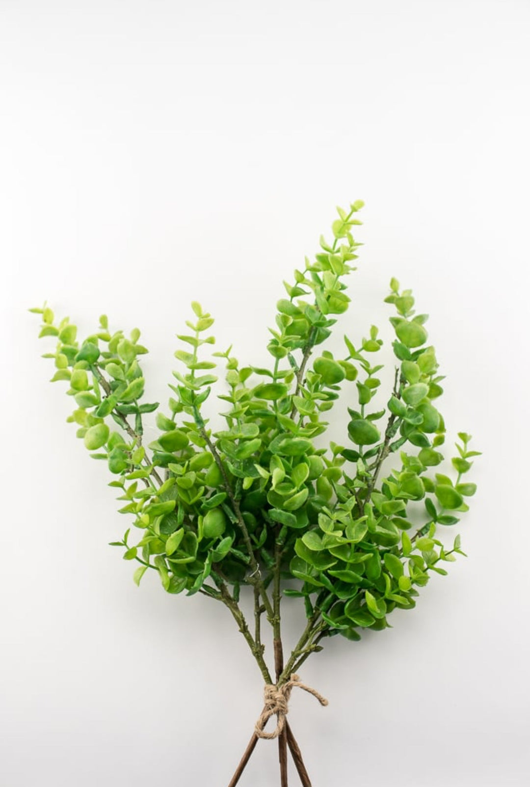 Artificial, spiral eucalyptus bundle - Greenery MarketWinter and Christmas2751096GR