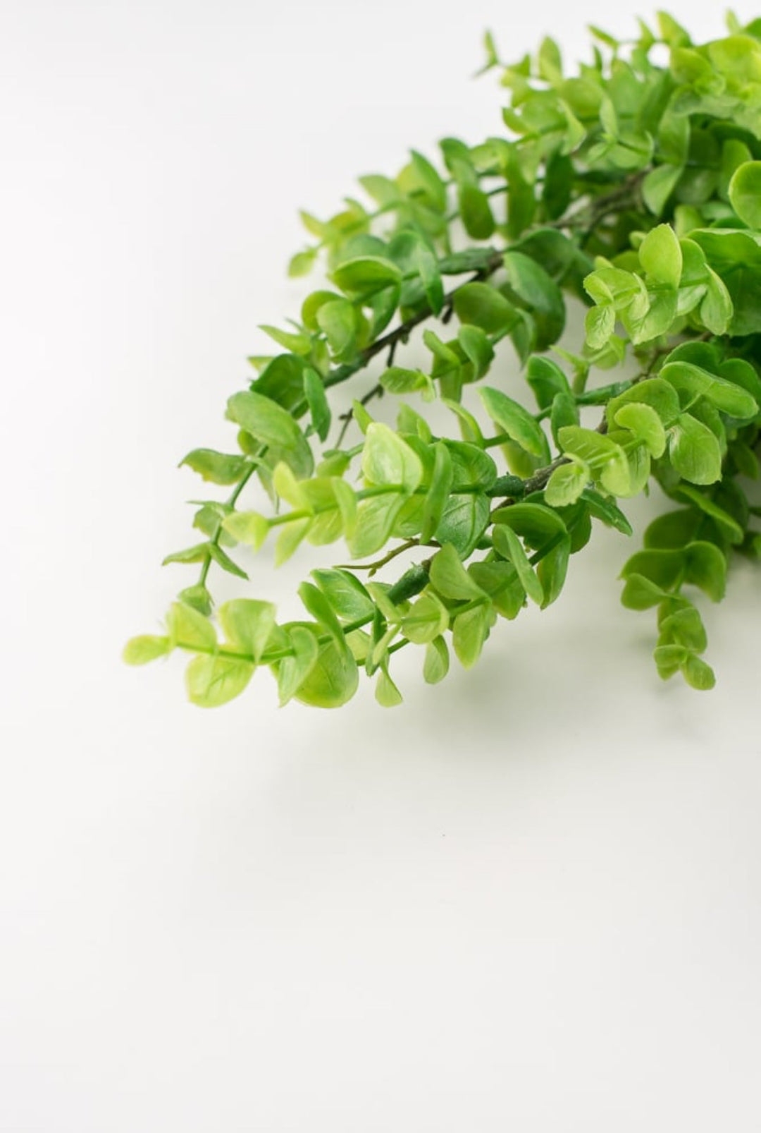 Artificial, spiral eucalyptus bundle - Greenery MarketWinter and Christmas2751096GR