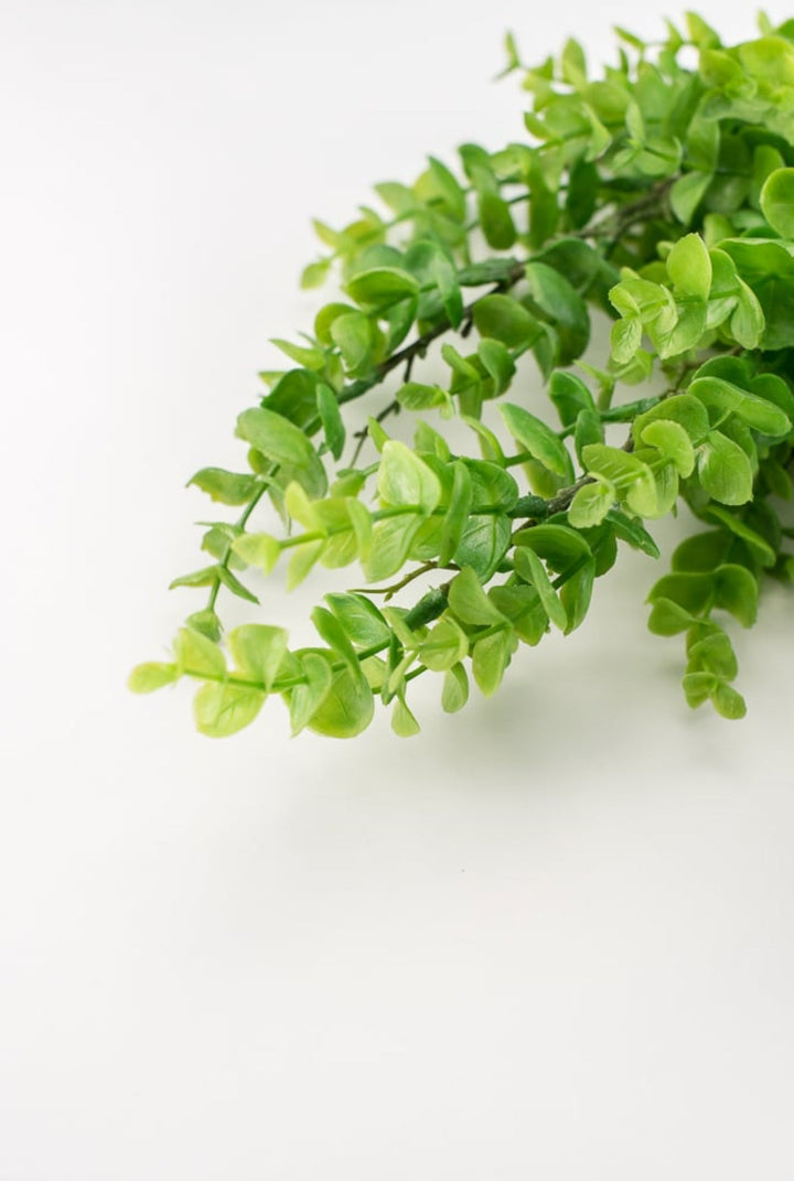 Artificial, spiral eucalyptus bundle - Greenery MarketWinter and Christmas2751096GR