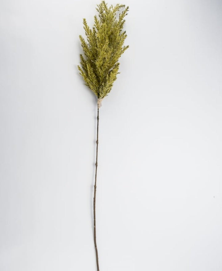 Astilbe stem - green - Greenery Market83954-GN