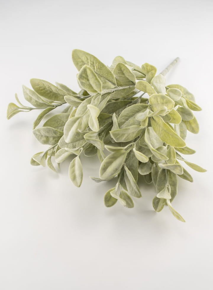 Bay leaf bush green - Greenery Marketgreenery2320108FG
