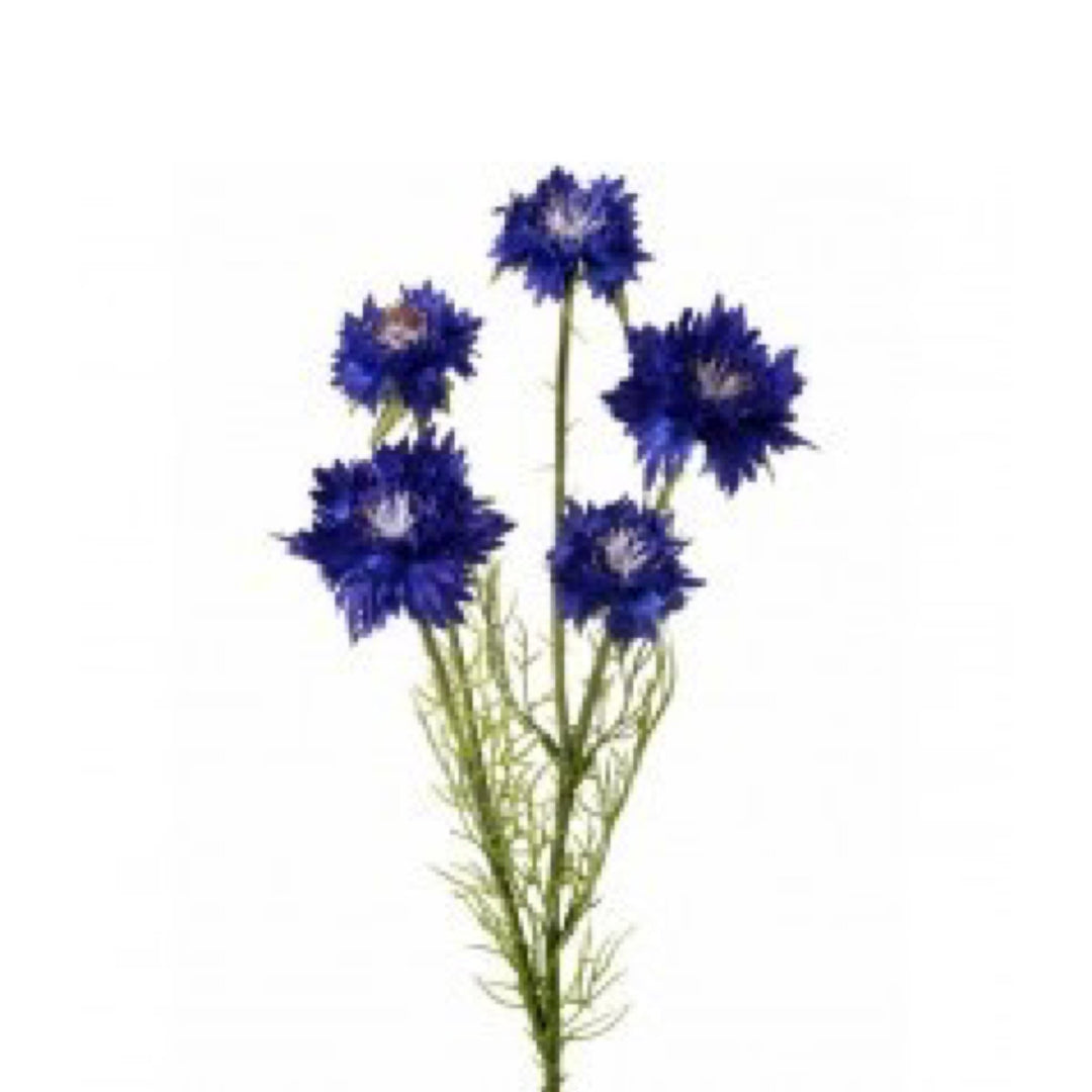 Cornflower spray, blue filler flowers - Greenery Marketartificial flowersMTF22077