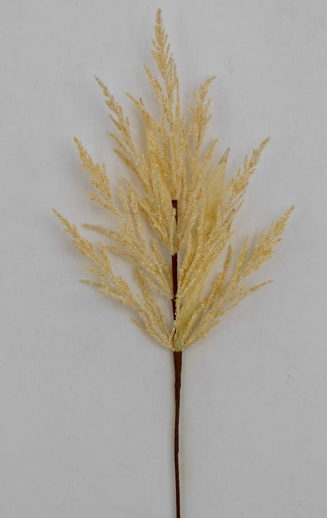 Cream astilbe spray - Greenery Marketgreenery83016-BE
