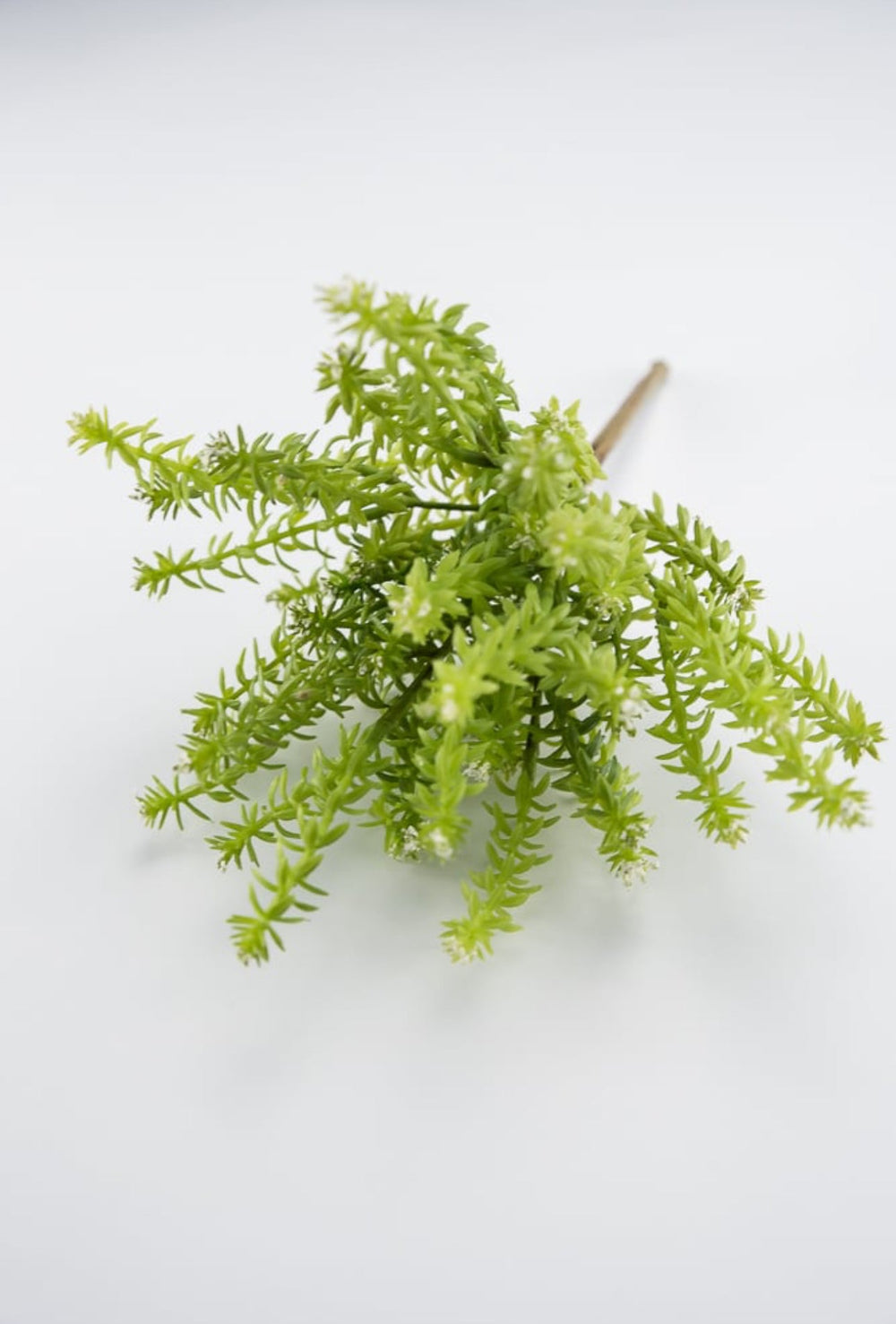 Cream Budding greenery bush - Greenery Market2330016CR