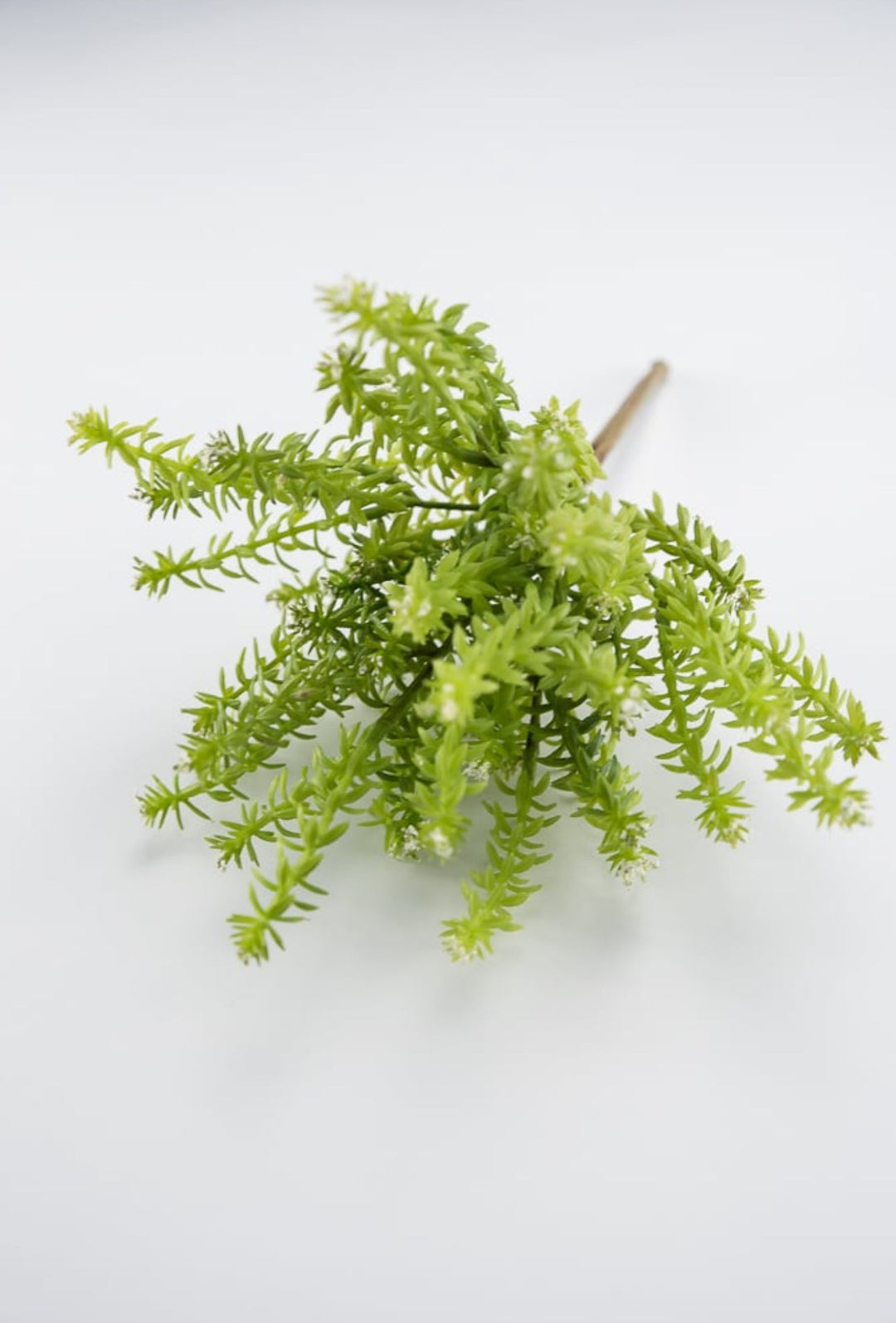 Cream Budding greenery bush - Greenery Market2330016CR