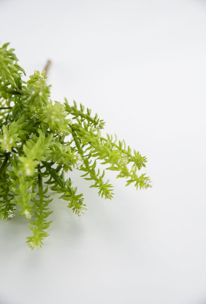 Cream Budding greenery bush - Greenery Market2330016CR