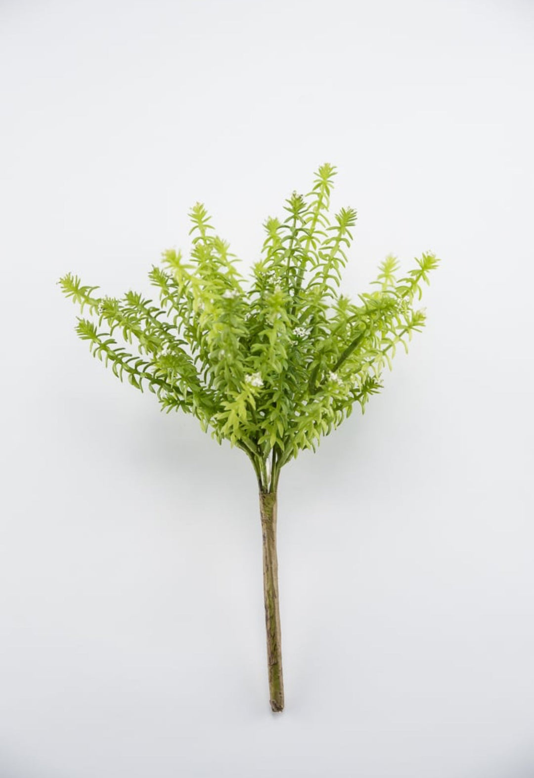 Cream Budding greenery bush - Greenery Market2330016CR