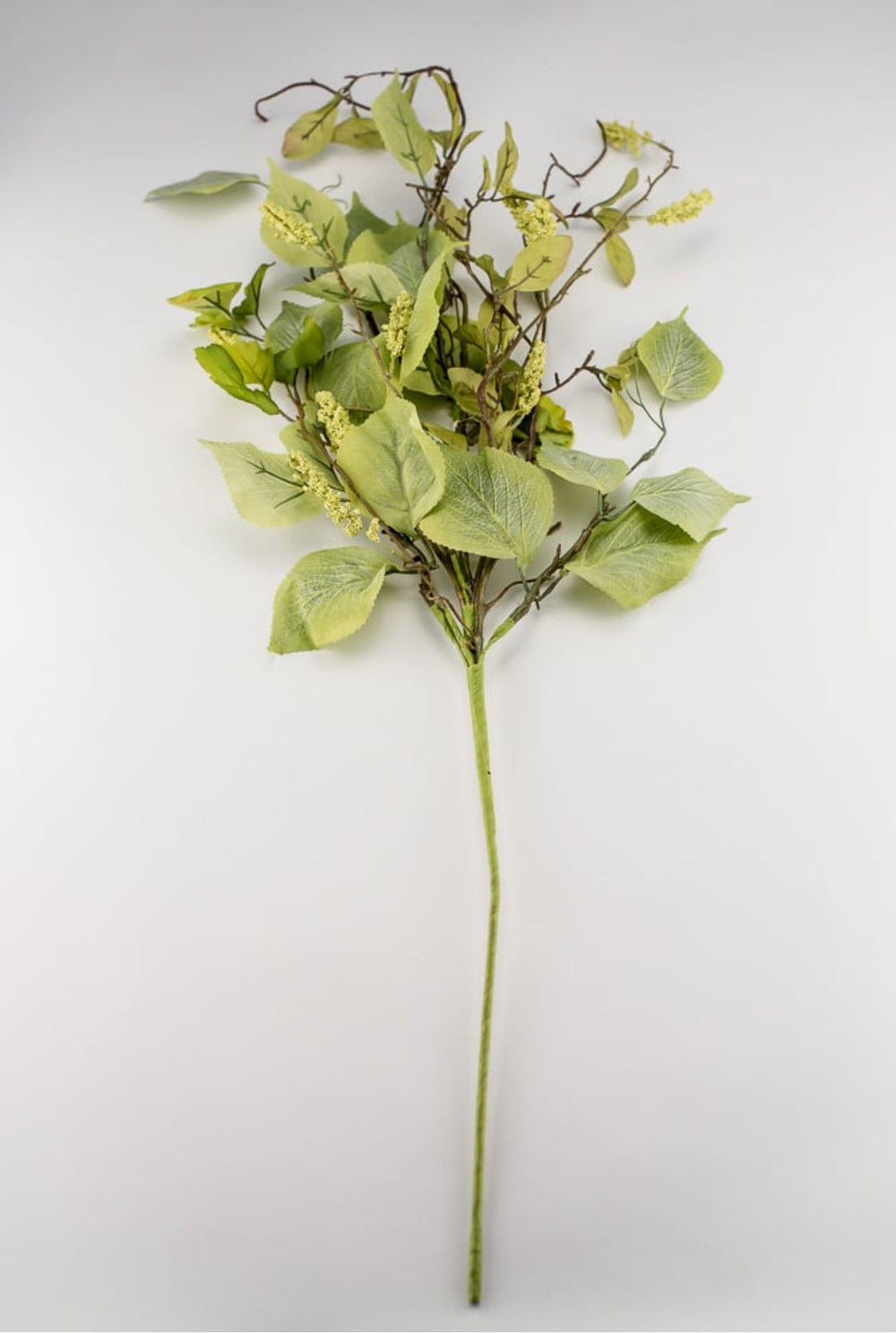 Elm leaf and tassel seed spray, mixed greenery - Greenery MarketPM1982-SG