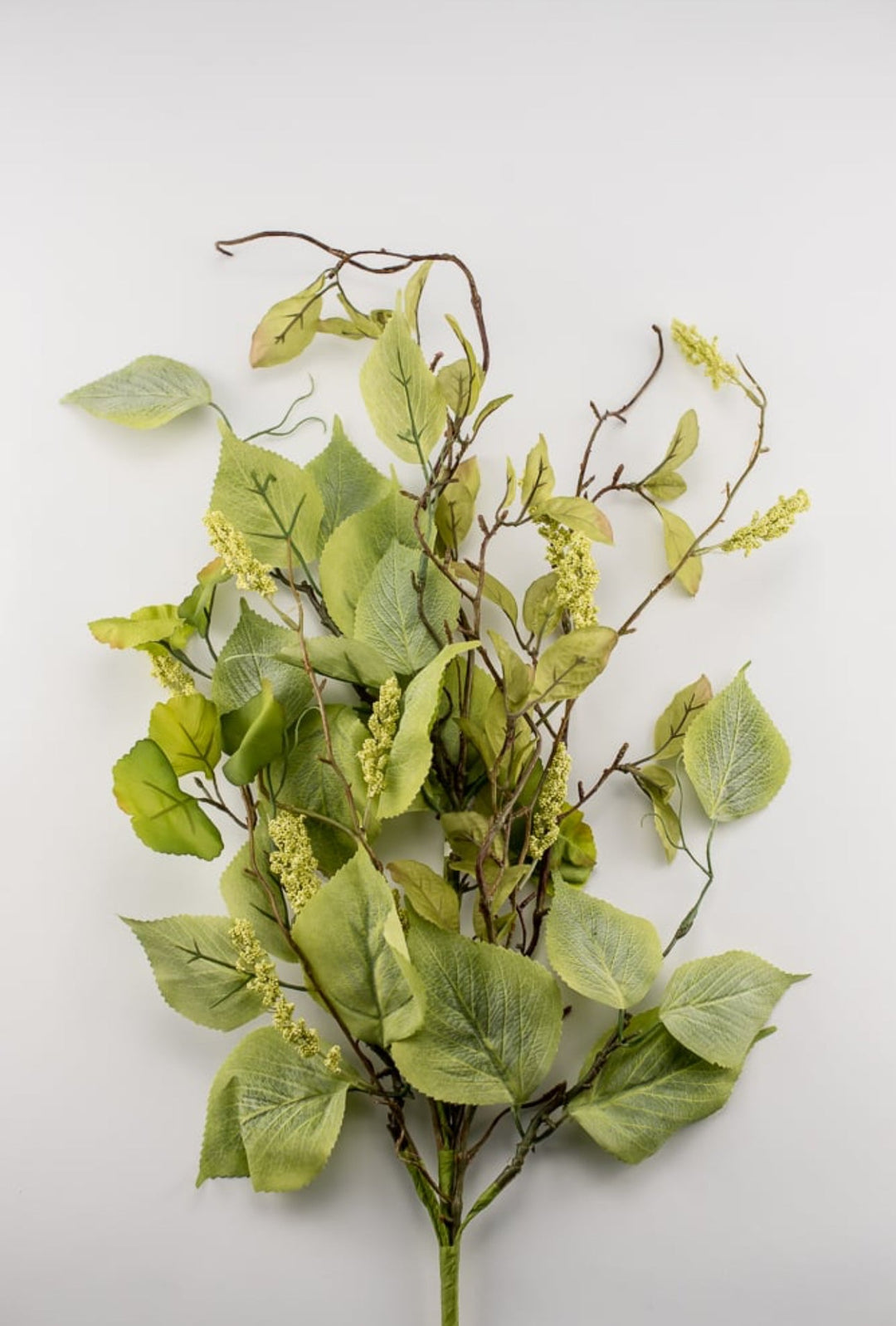Elm leaf and tassel seed spray, mixed greenery - Greenery MarketPM1982-SG