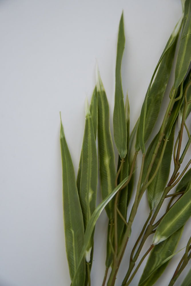 Eucalyptus greenery spray - Greenery Market26967