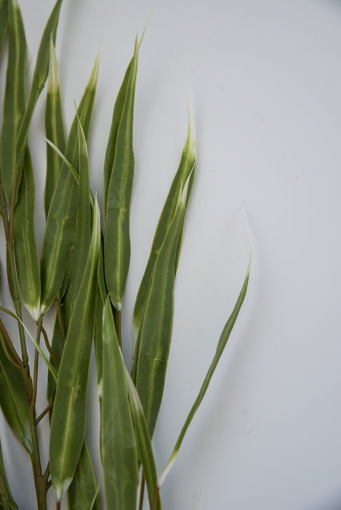Eucalyptus greenery spray - Greenery Market26967