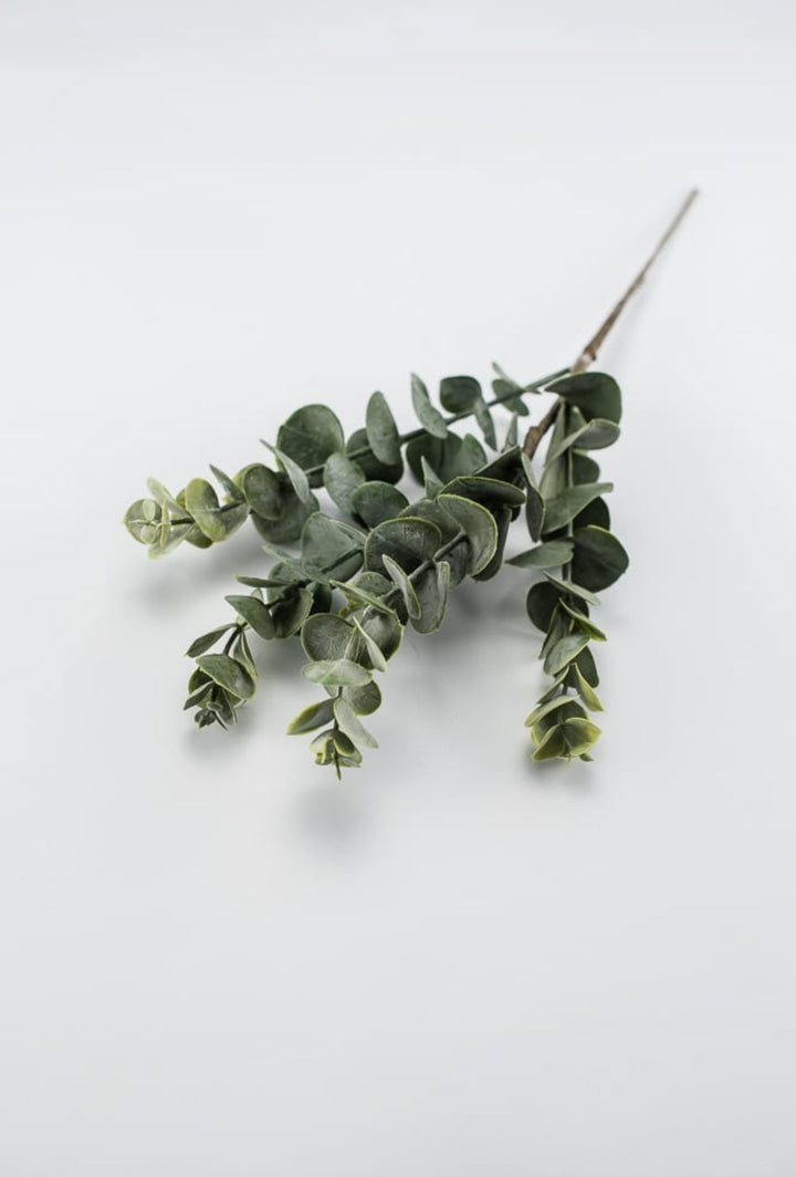 Eucalyptus spray - green - Greenery MarketArtificial Flora26264