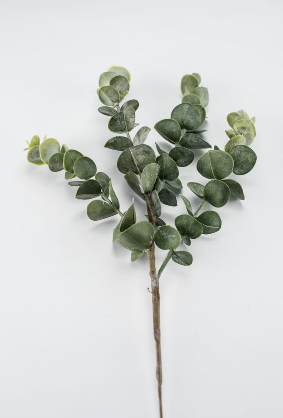 Eucalyptus spray - green - Greenery MarketArtificial Flora26264