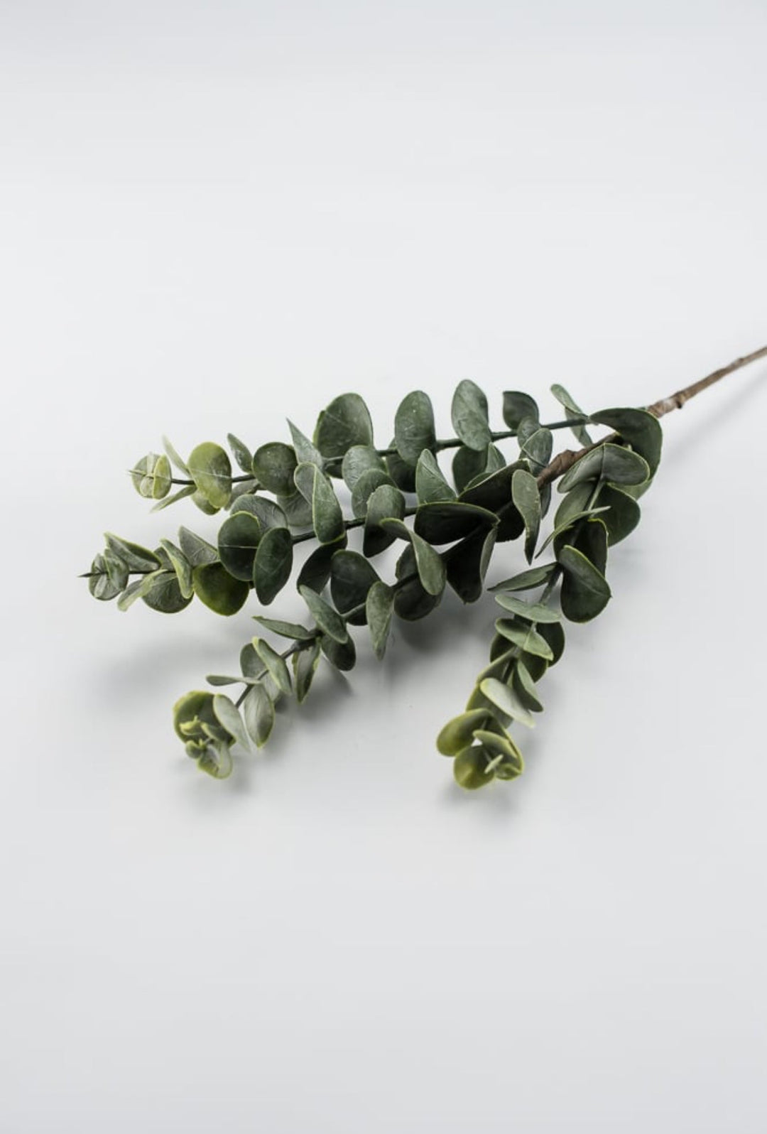 Eucalyptus spray - green - Greenery MarketArtificial Flora26264