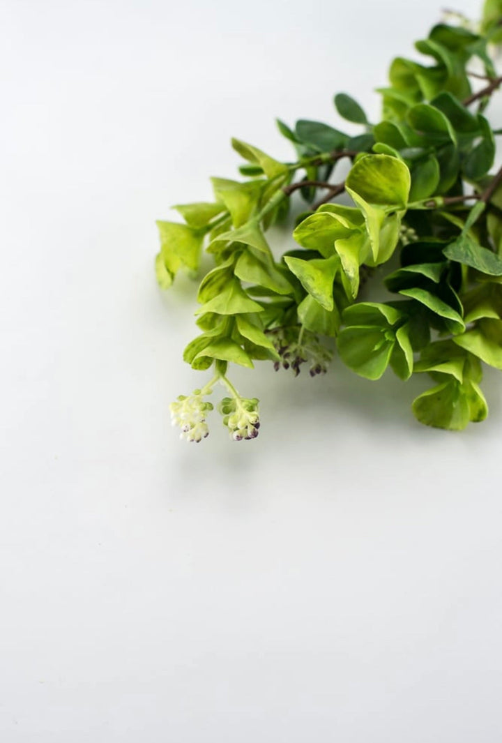 Eucalyptus with purple seeds spray - Greenery Market2310435GP
