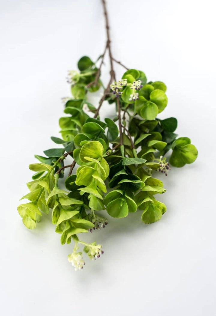 Eucalyptus with purple seeds spray - Greenery Market2310435GP