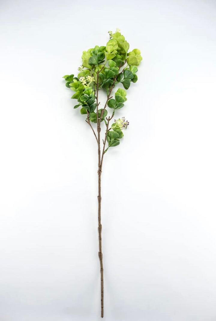Eucalyptus with purple seeds spray - Greenery Market2310435GP